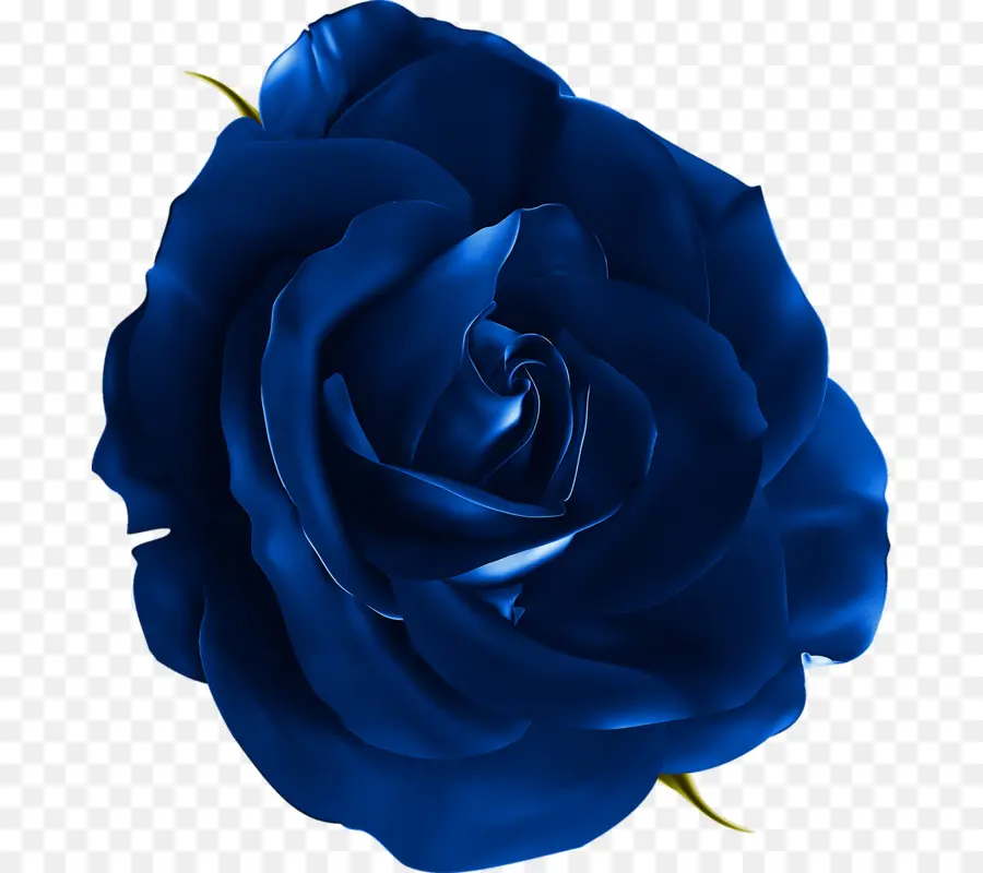 Rosa，Azul PNG