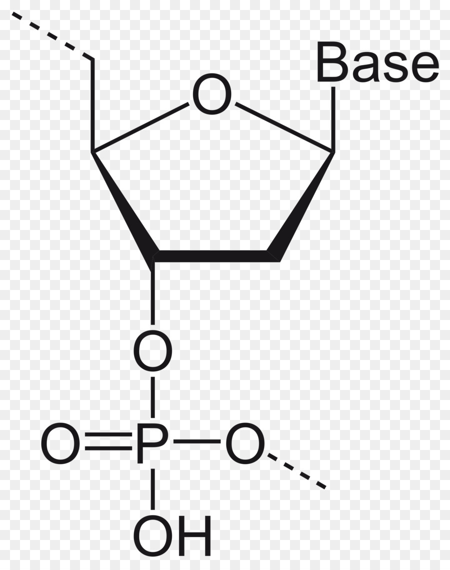 23bisphosphoglyceric ácido，A Ribose PNG