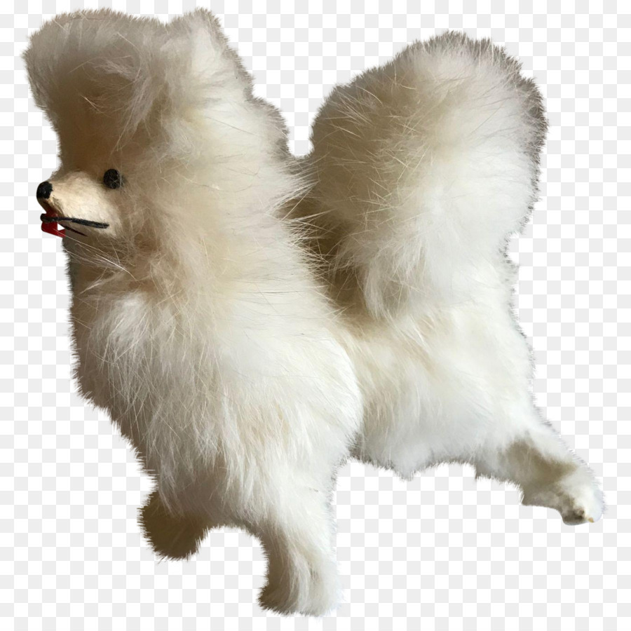 Spitz Alemão Klein，Spitz Alemão Mittel PNG