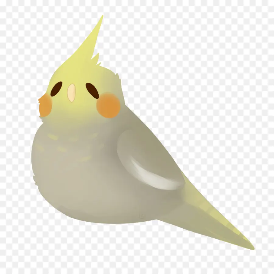 Bico，Aves PNG