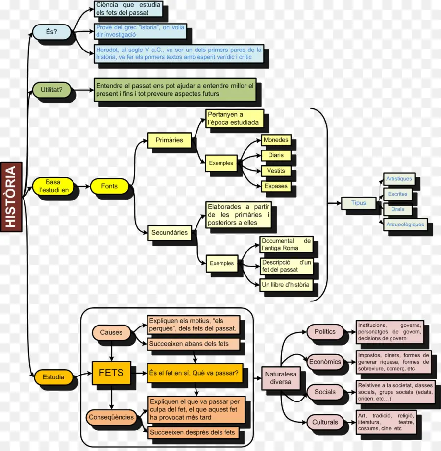 Mapa Mental Da História，Educação PNG