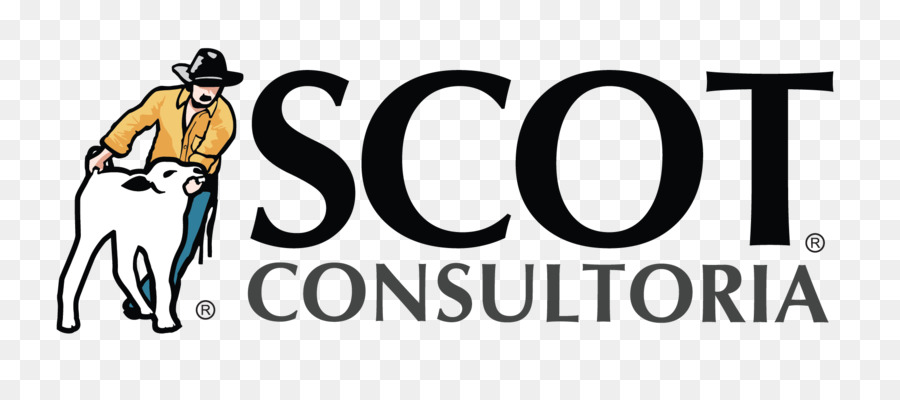 Scot Consultoria，Consultor PNG