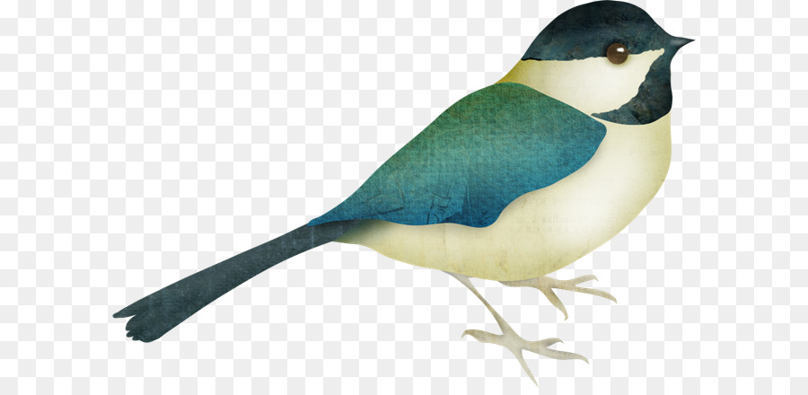Aves，Animais PNG