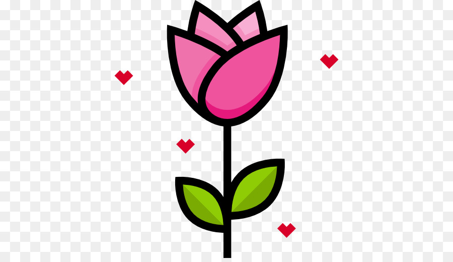 Tulipa Rosa，Florescer PNG