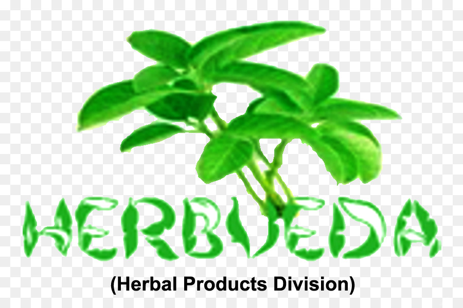 Ervas，Herbalism PNG