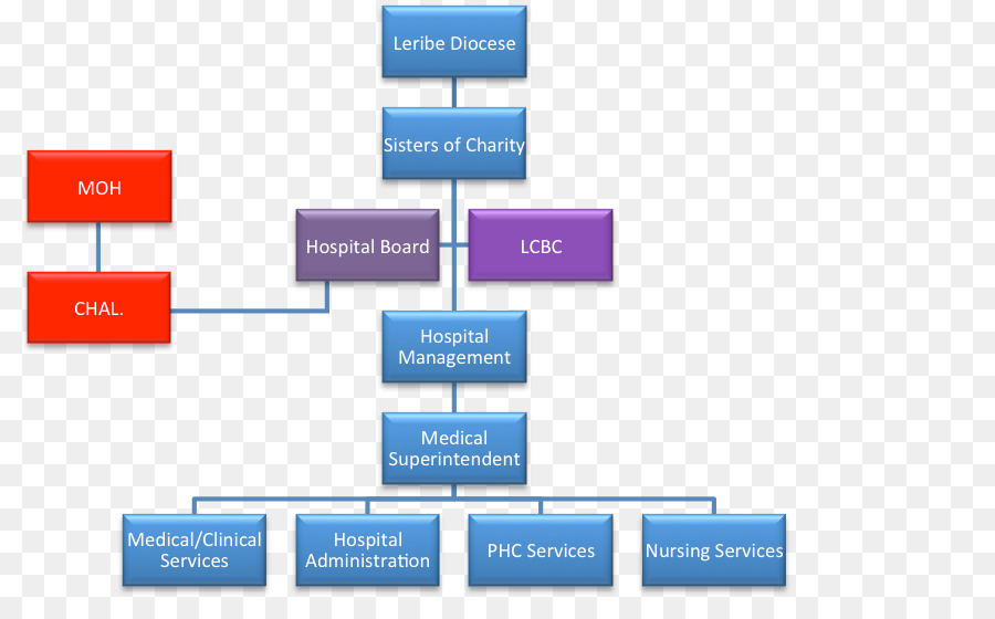 Organização，Hospital PNG