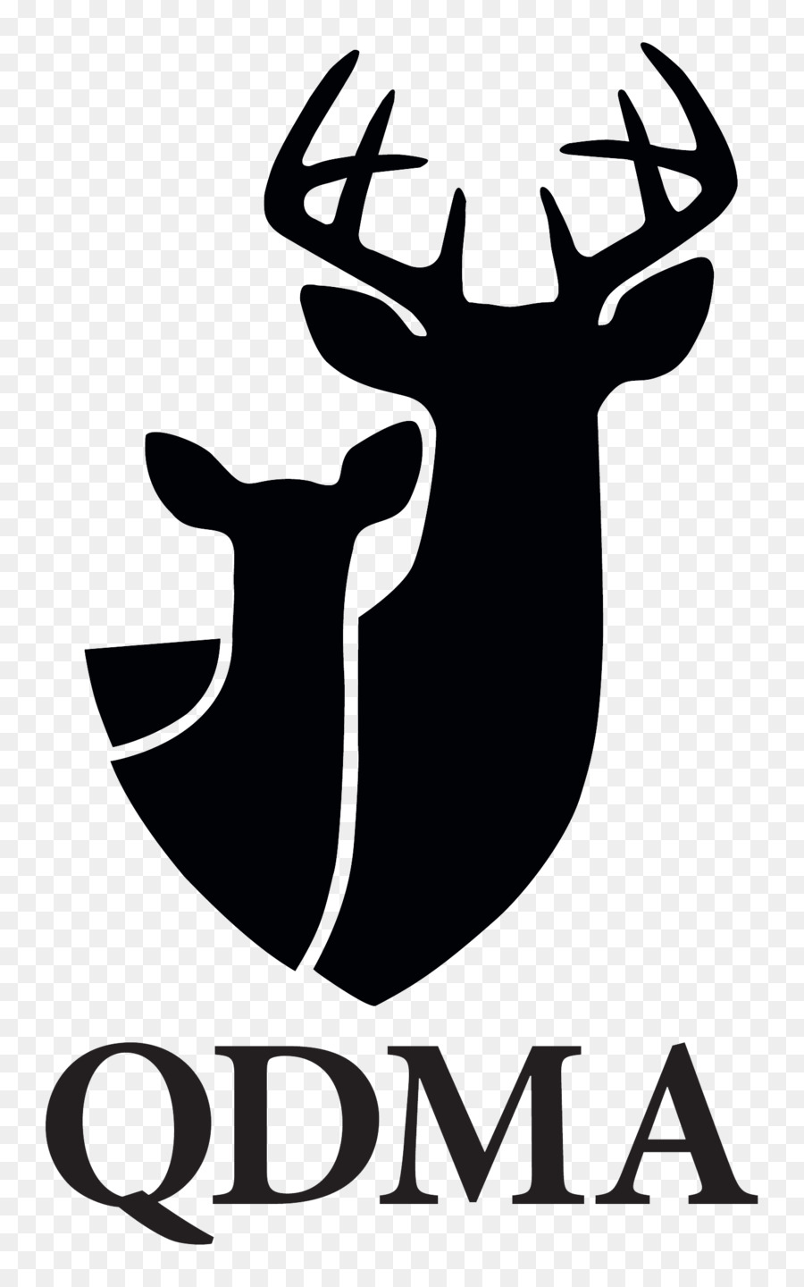 Qdma Logo，Qdma PNG