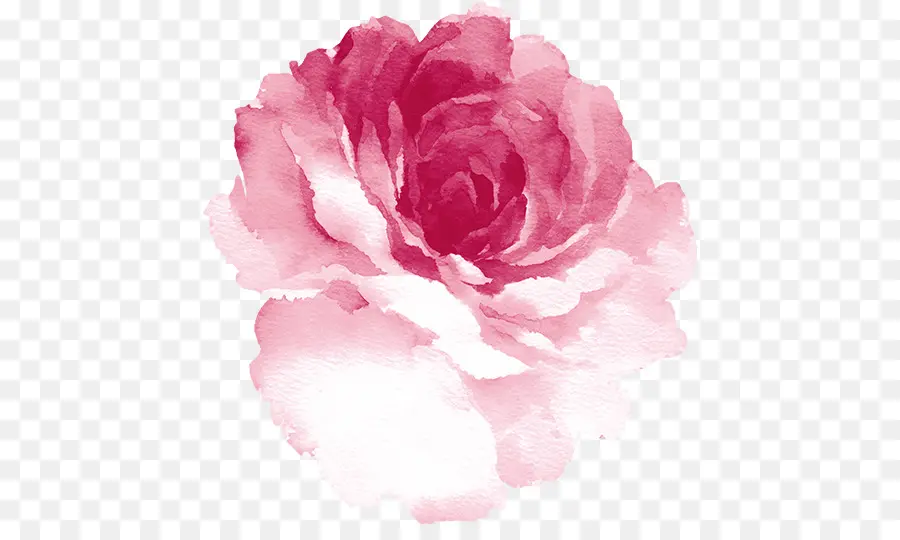 Pintura Em Aquarela，Aquarela Flores PNG