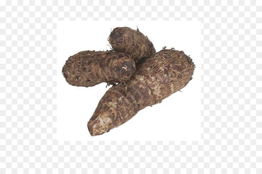 Wild Yam，Yam PNG