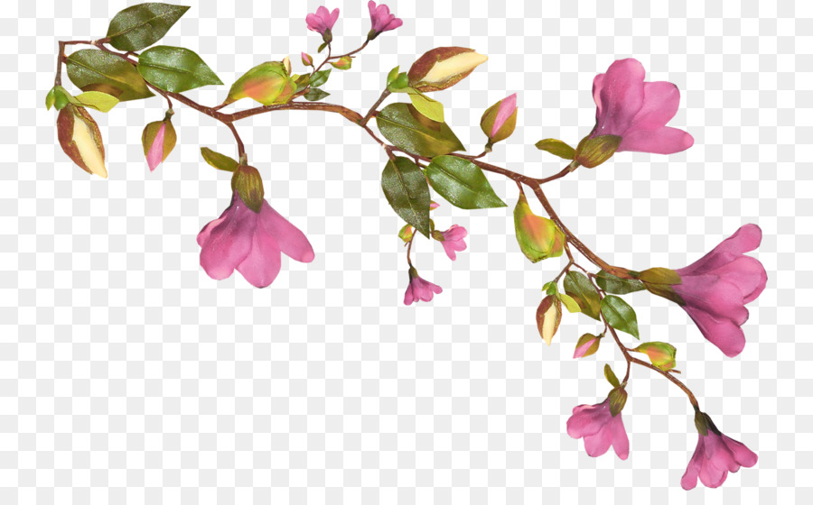 Ramo De Flor，Florescer PNG