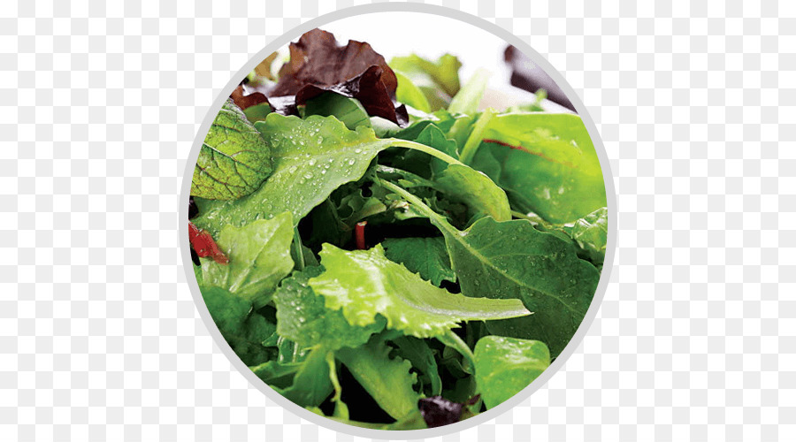 Alimentos Orgânicos，Salada PNG