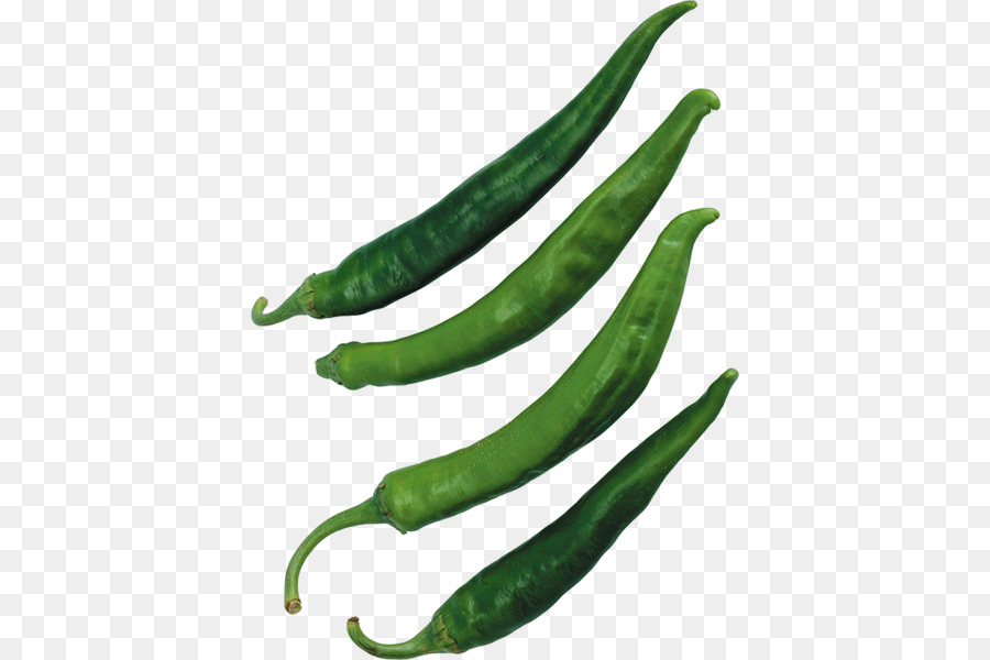 Bird S Eye Chili，Serrano Pepper PNG