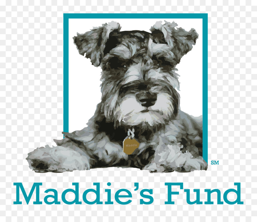 Maddies Fundo，Financiamento PNG