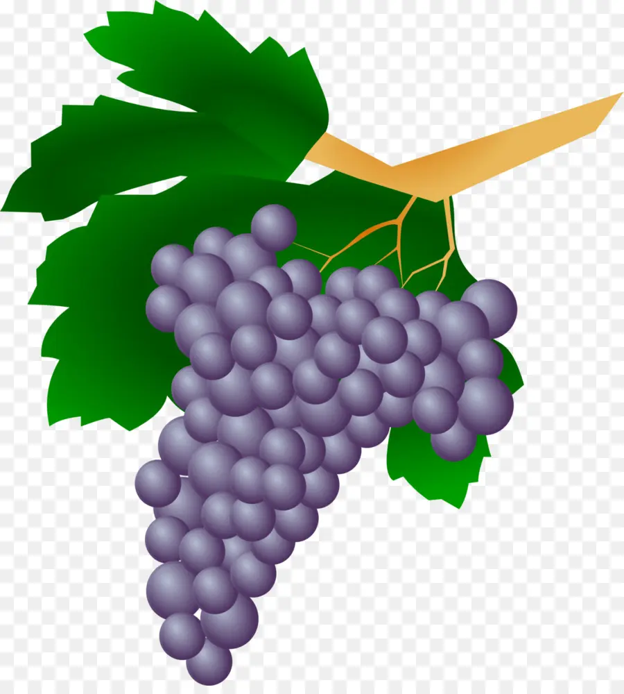 Uvas Pretas，Videira PNG