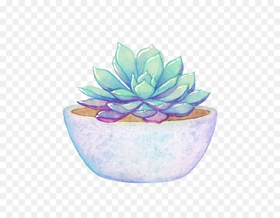 Pintura Em Aquarela，Cactaceae PNG