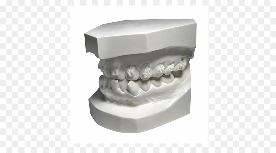 Odontologia，De Dentes Humanos PNG