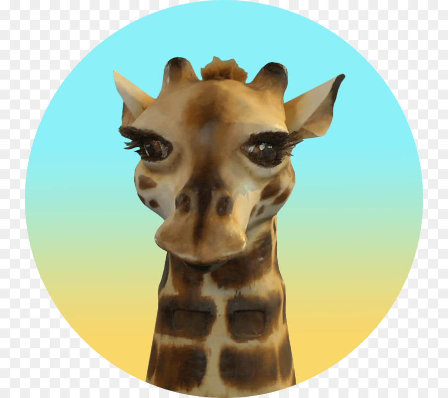 A Girafa Resfriada，Marzipã PNG