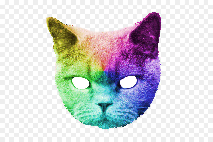 Gato，Cão PNG