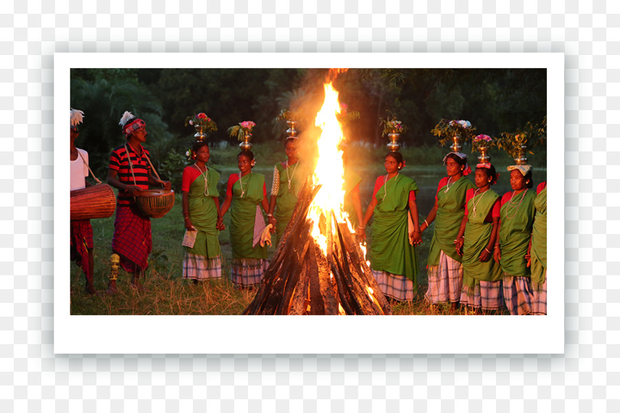 Enfeite De Natal，árvore De Natal PNG