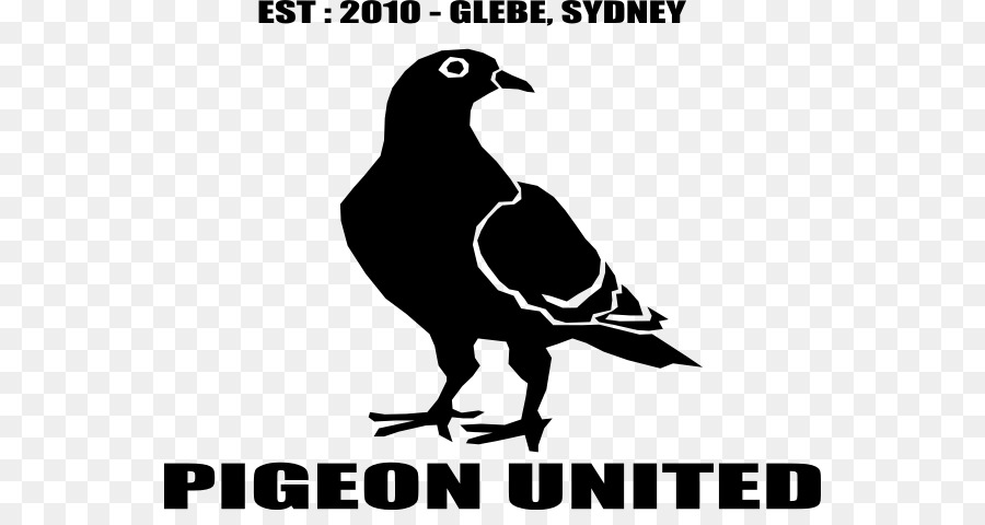 Pigeon United Logo，Pombo PNG