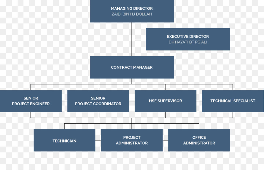 Gráfico Organizacional，Organização PNG