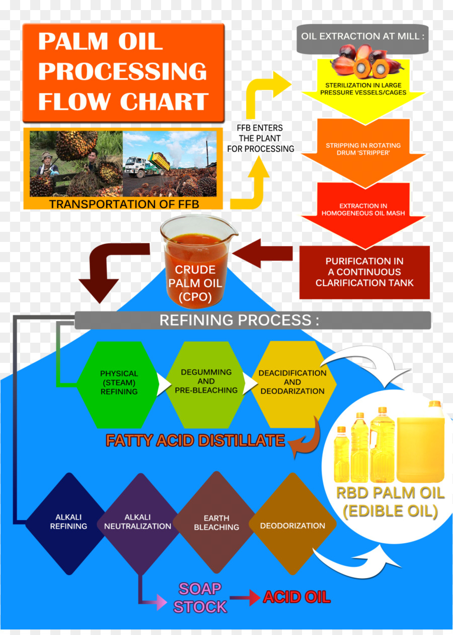 Processamento De óleo De Palma，Processo De Refino PNG