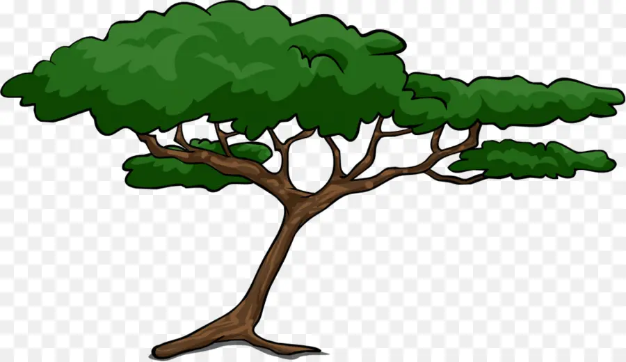 Barbilhões，árvore PNG