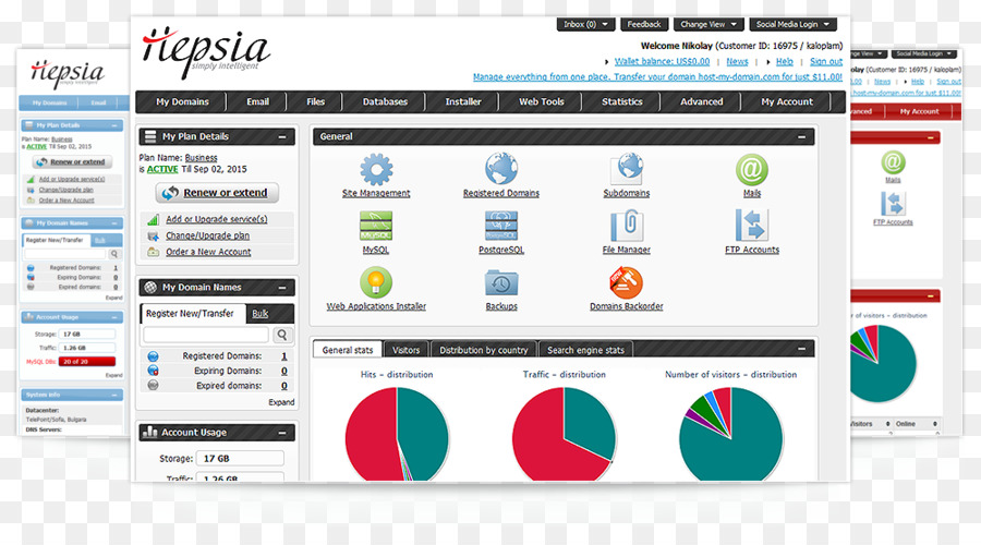 Web Painel De Controle De Hospedagem，Virtual Private Server PNG