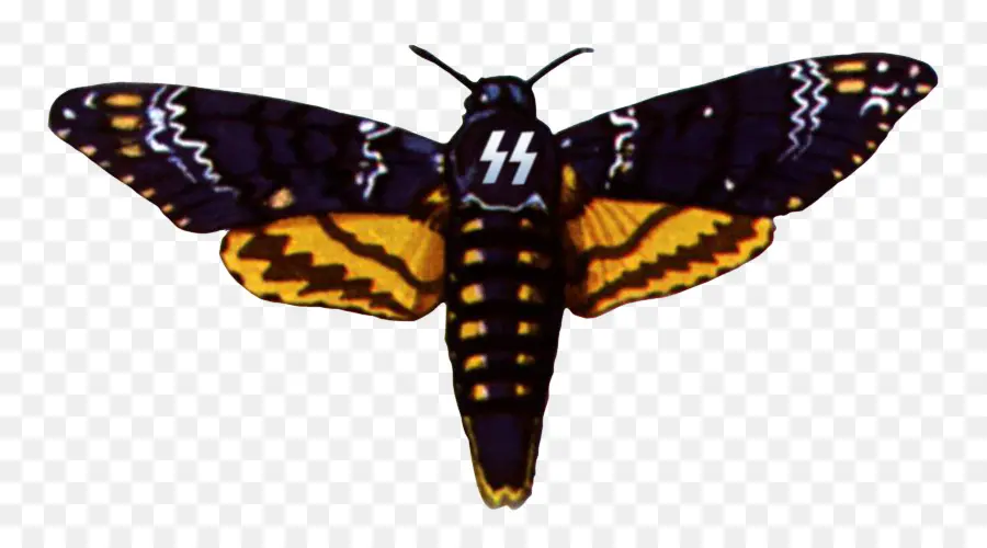 Borboleta，Asas PNG