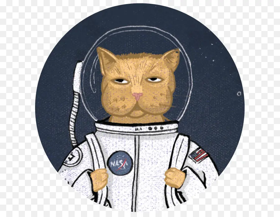 Gato Em Traje Espacial，Espaço PNG