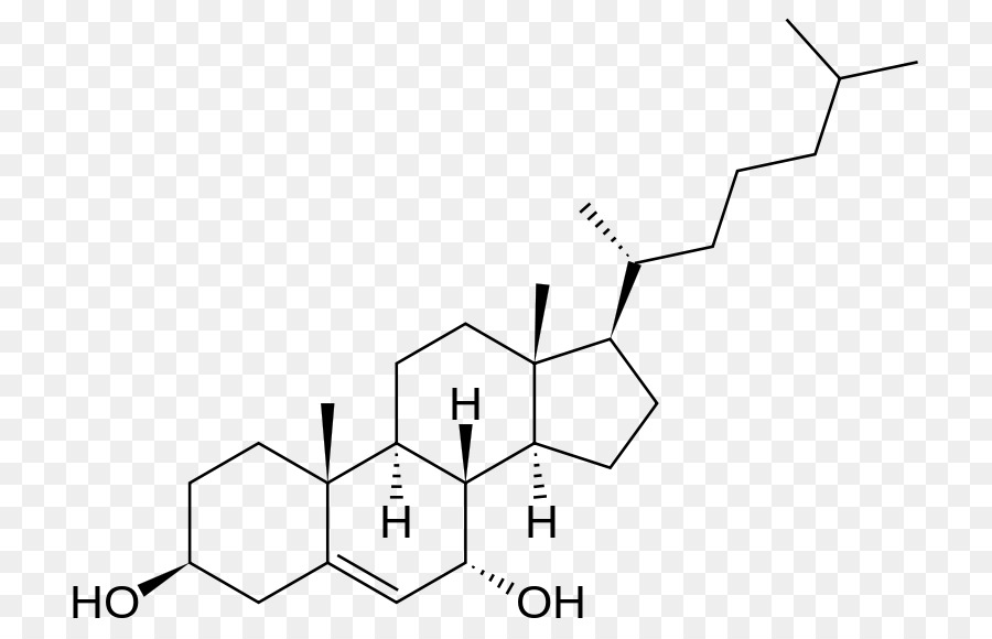 Estrutura Química，Molécula PNG