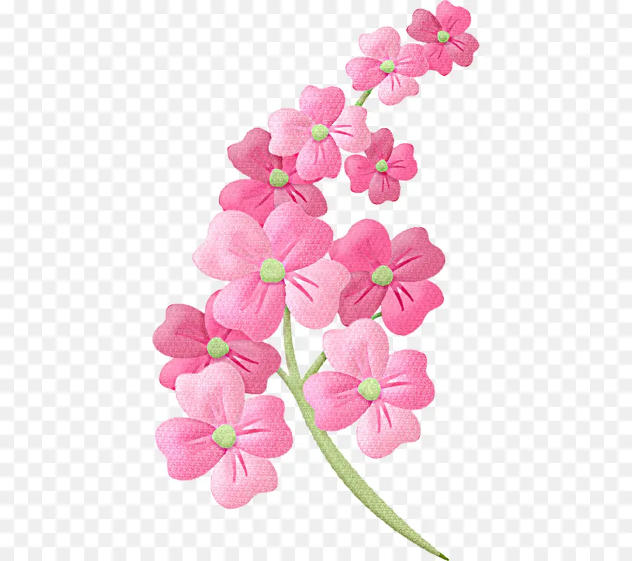 Flor，Floral Ilustrações PNG