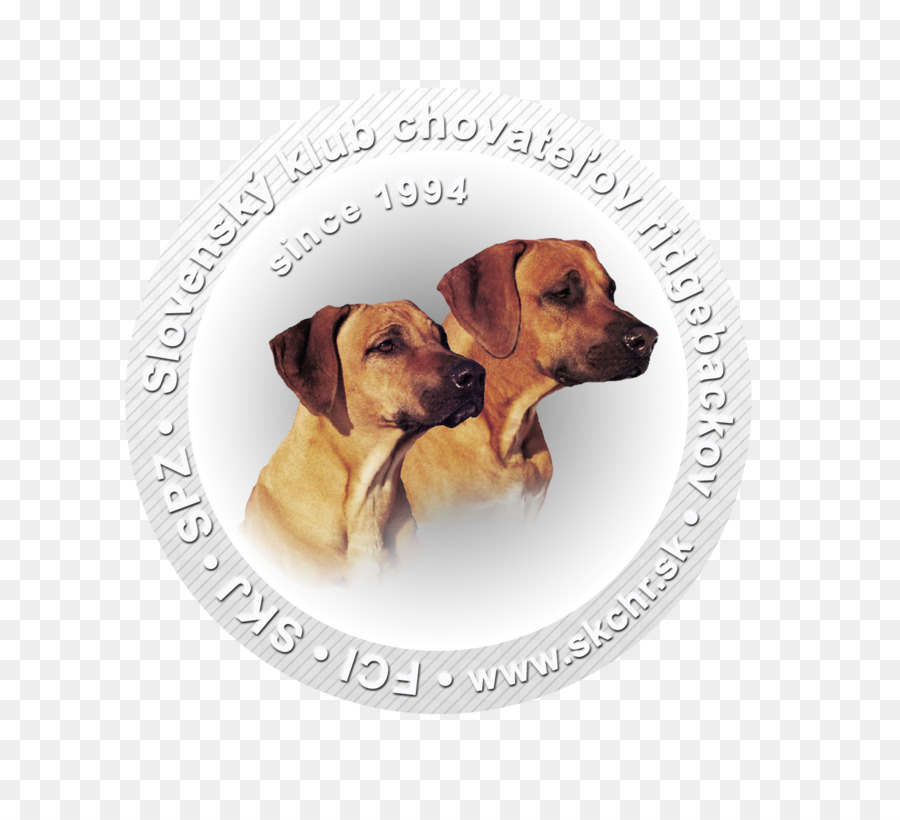 Raça Do Cão，Rhodesian Ridgeback PNG