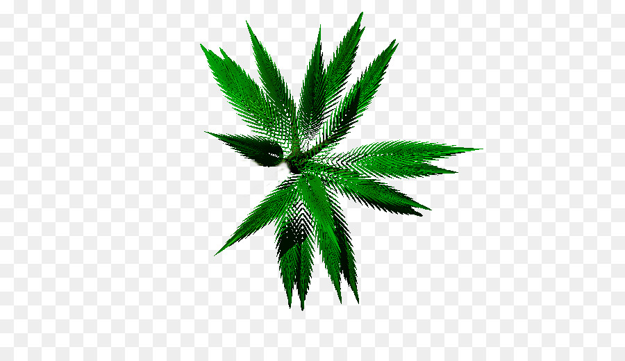 Cannabis，O Cânhamo PNG