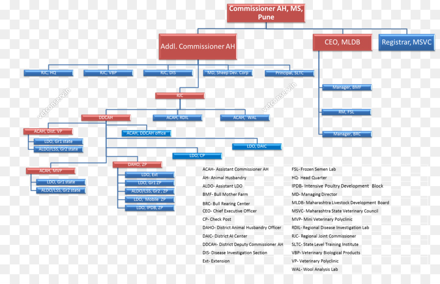 Página Da Web，Organização PNG