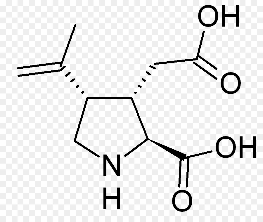 Estrutura Química，Molécula PNG