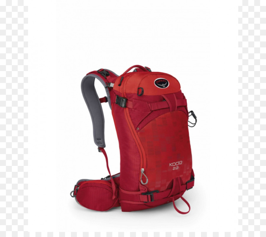 A águia Pesqueira，Mochila PNG