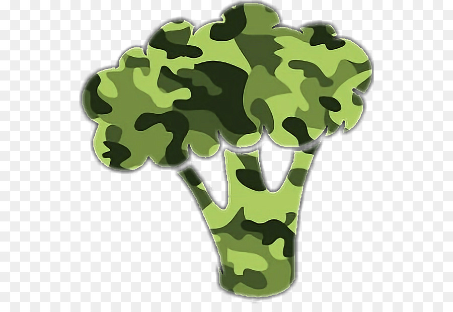 Brócolis Camuflado，Brócolis PNG