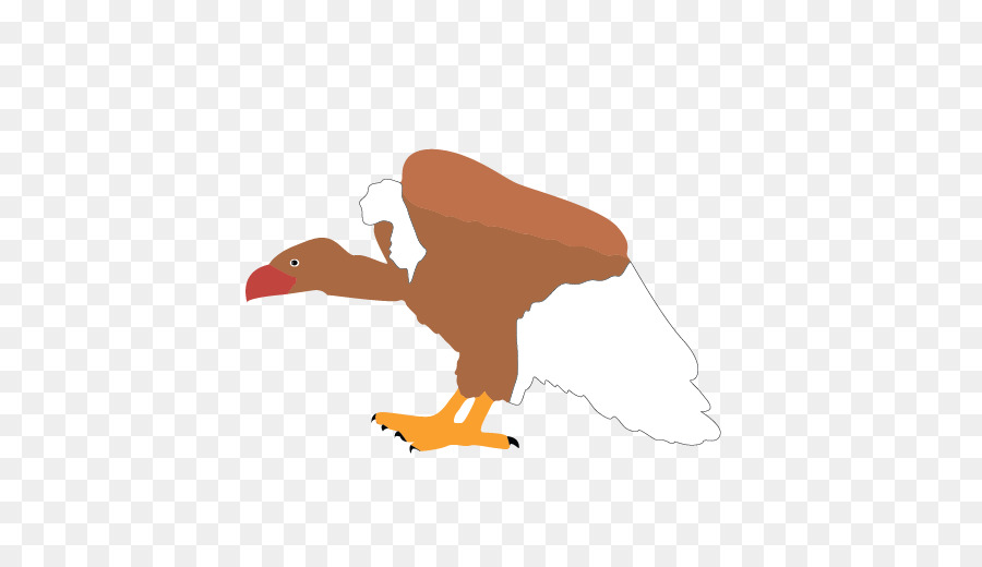 Frango，Desenho PNG