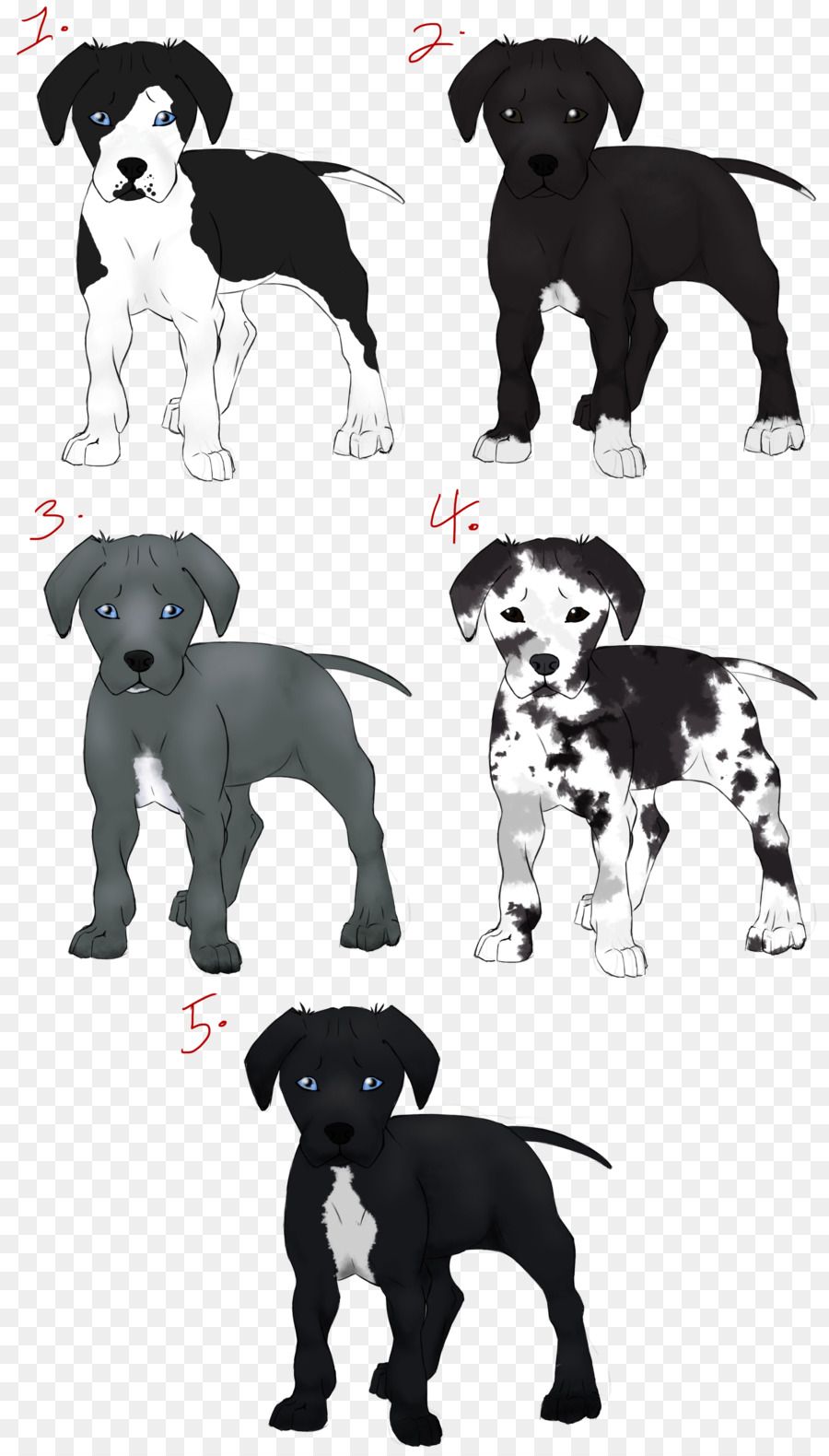 Great Dane，Filhote De Cachorro PNG