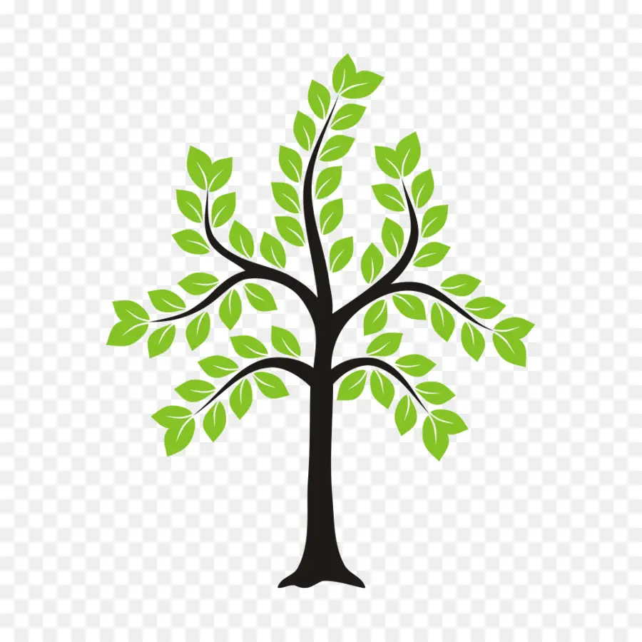 Adesivo，árvore PNG