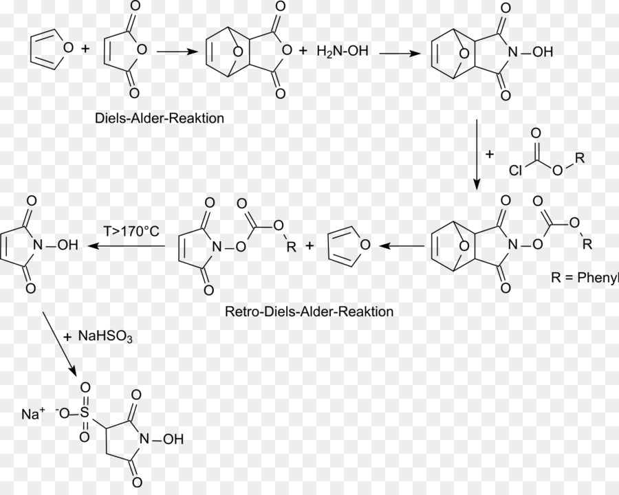 Nhydroxysulfosuccinimide Sal De Sódio，Nhydroxysuccinimide PNG