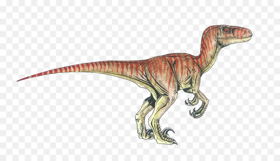 Dinossauro，Pré Histórico PNG