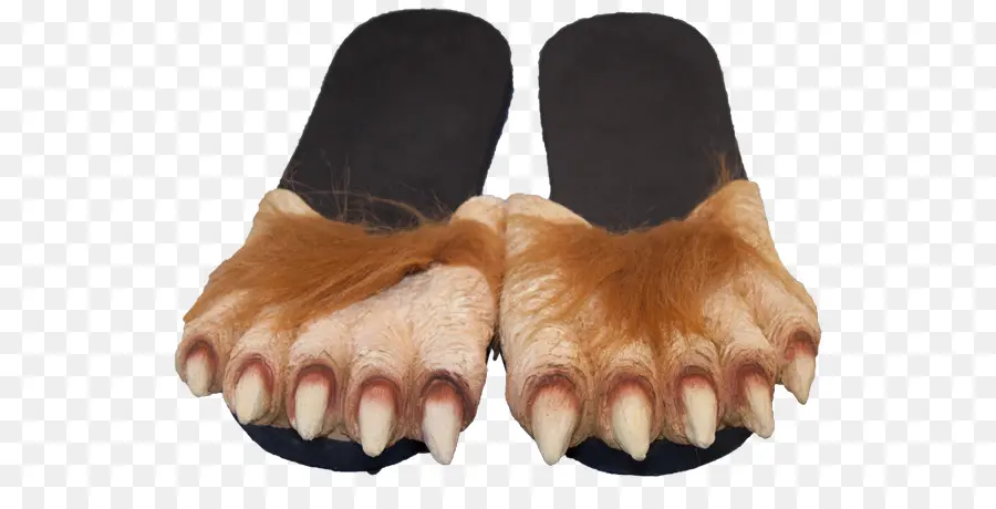 Chinelos De Patas De Animais，Novidade PNG