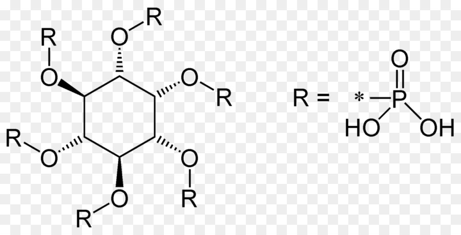 Estrutura Química Complexa，Molécula PNG