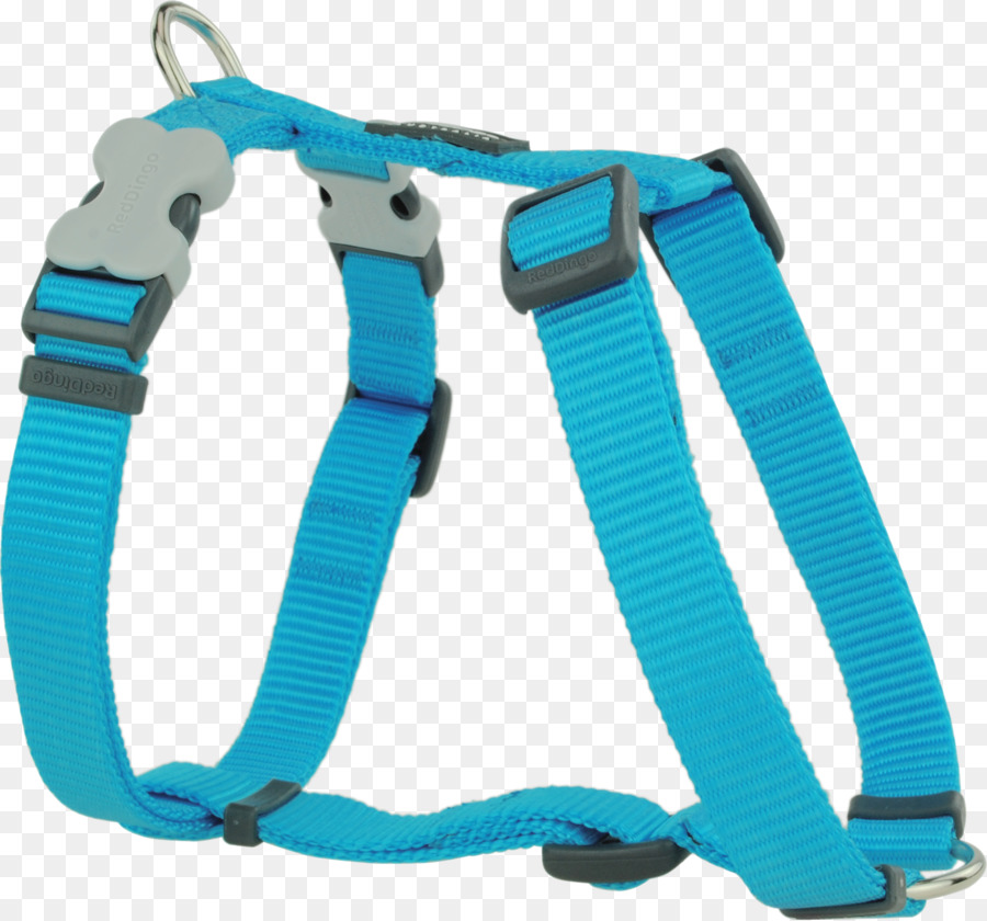 Leash，Dingo PNG