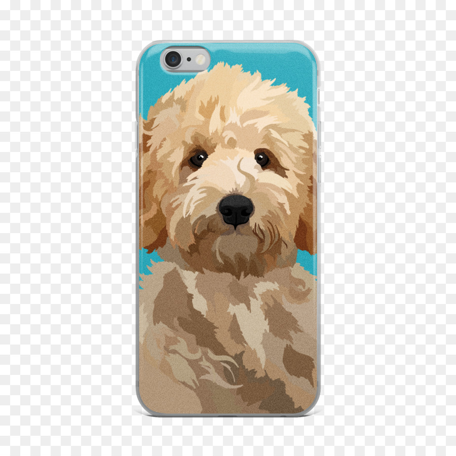 Goldendoodle，Raça Do Cão PNG