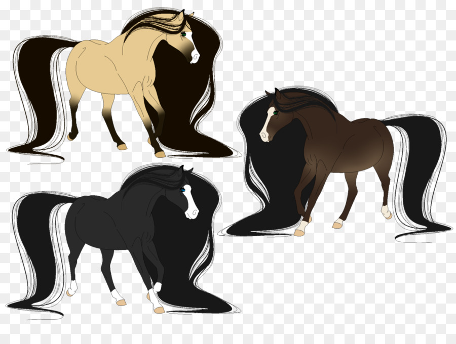 Cavalos，Potro PNG