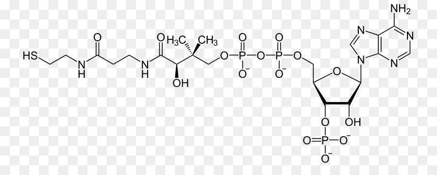 Estrutura Química，Molécula PNG