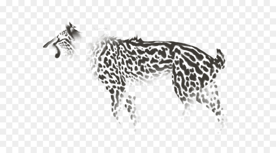 Leopardo，Pontos PNG